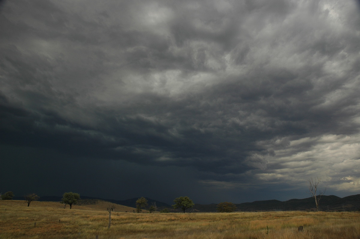 cumulonimbus thunderstorm_base : near Bonshaw, NSW   13 January 2007