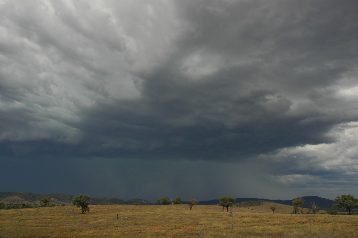 cumulonimbus thunderstorm_base : near Bonshaw, NSW   13 January 2007