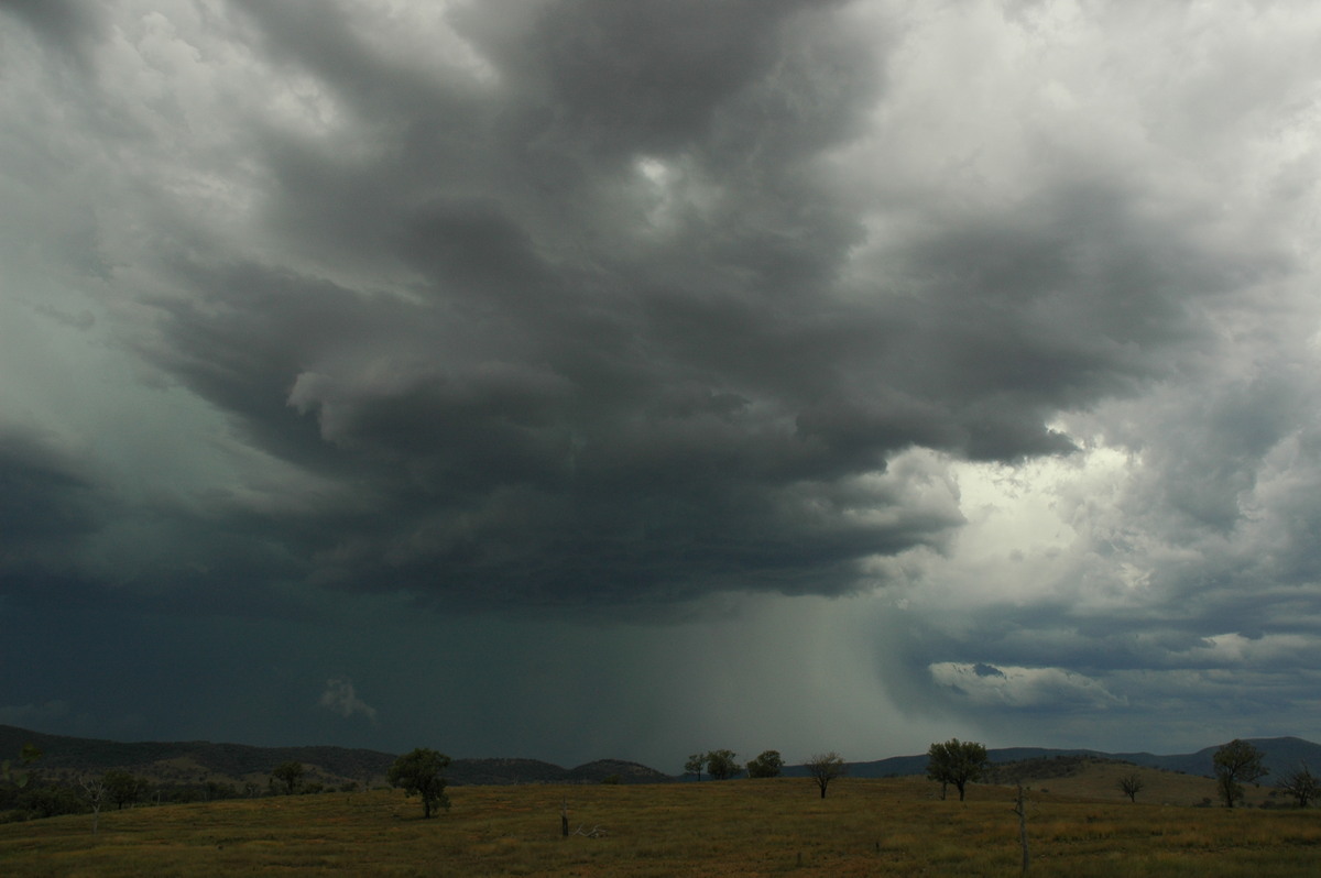 cumulonimbus thunderstorm_base : near Bonshaw, NSW   13 January 2007