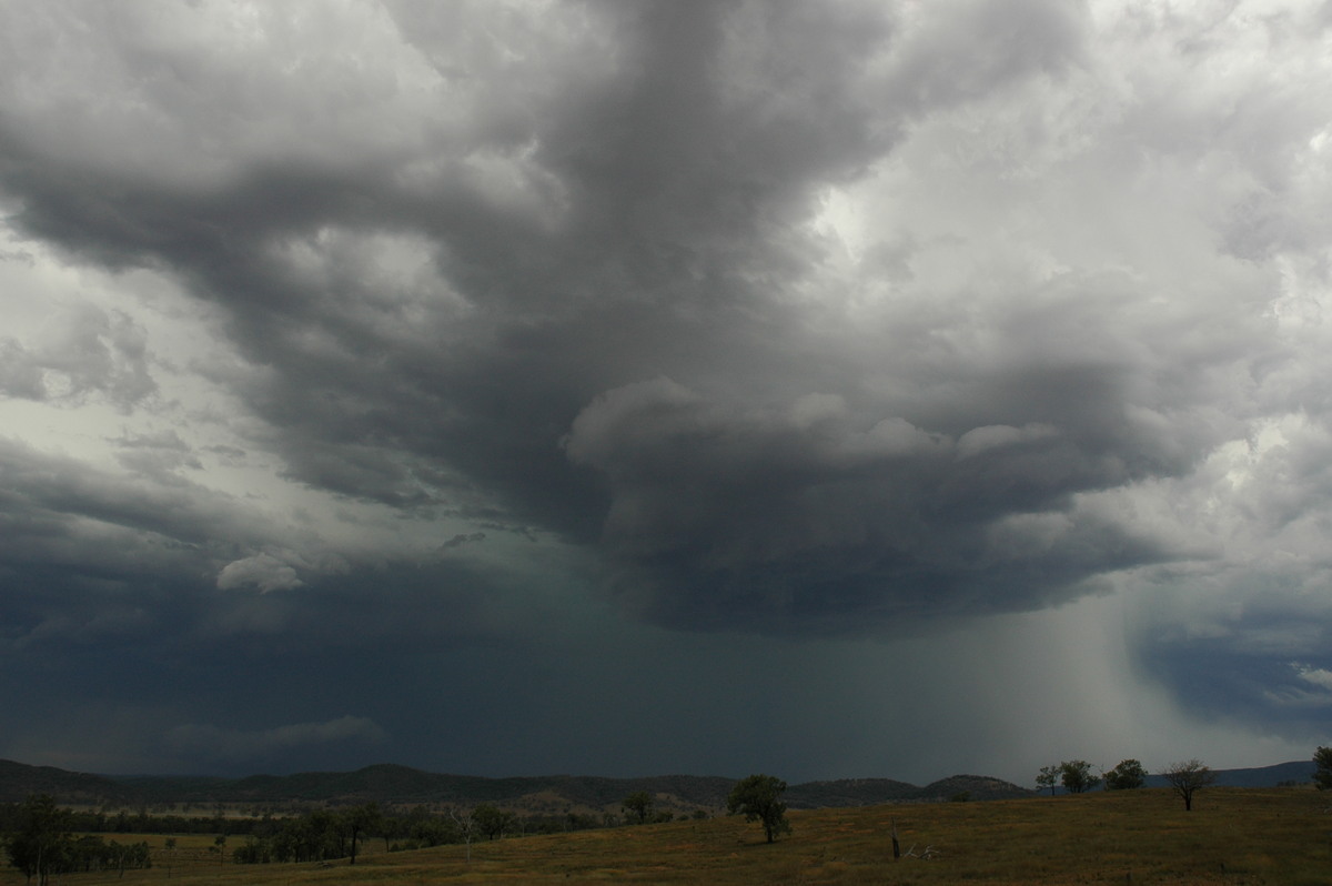 cumulonimbus thunderstorm_base : near Bonshaw, NSW   13 January 2007