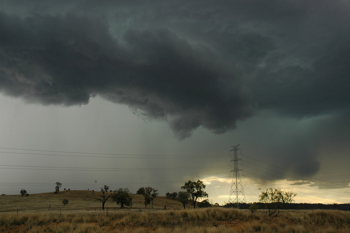 microburst micro_burst : near Bonshaw, NSW   13 January 2007