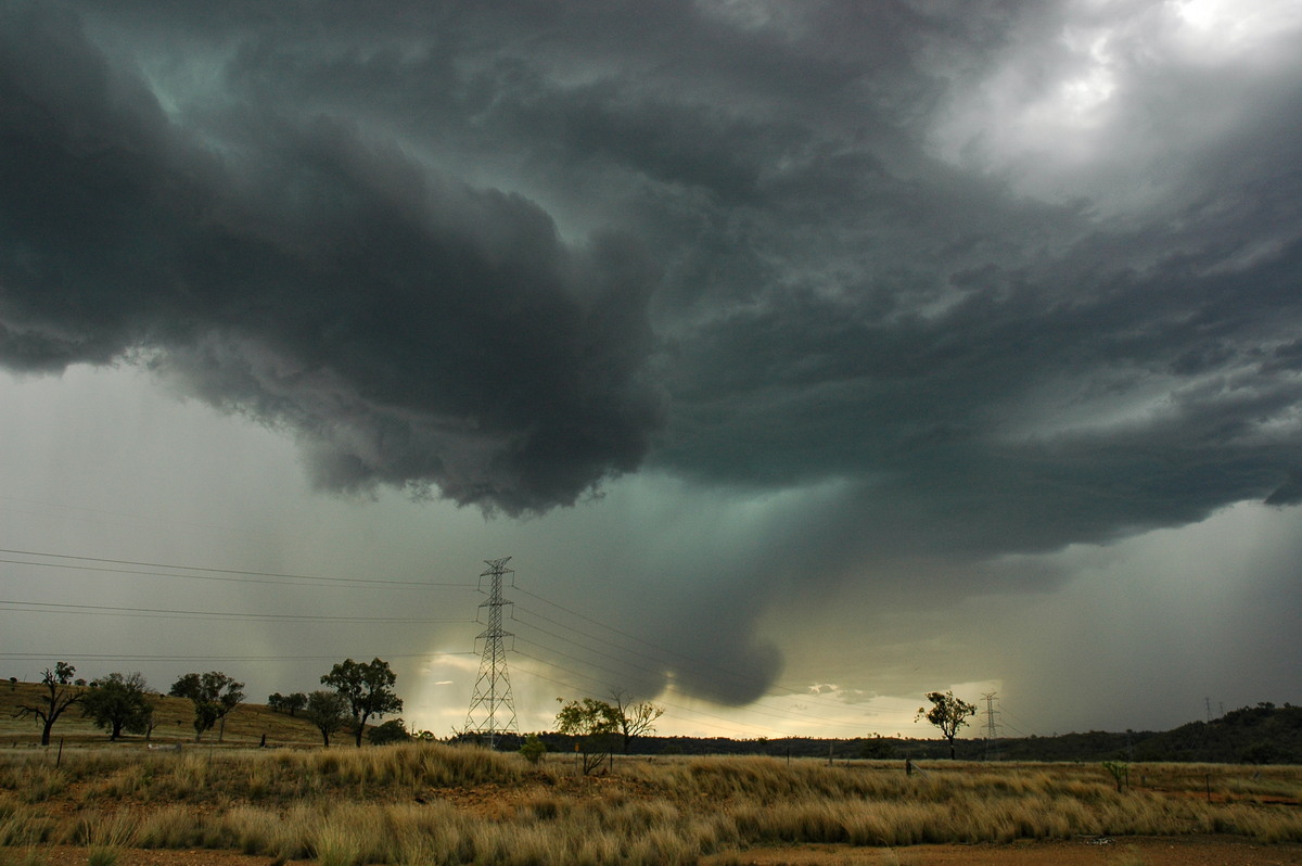 shelfcloud shelf_cloud : near Bonshaw, NSW   13 January 2007