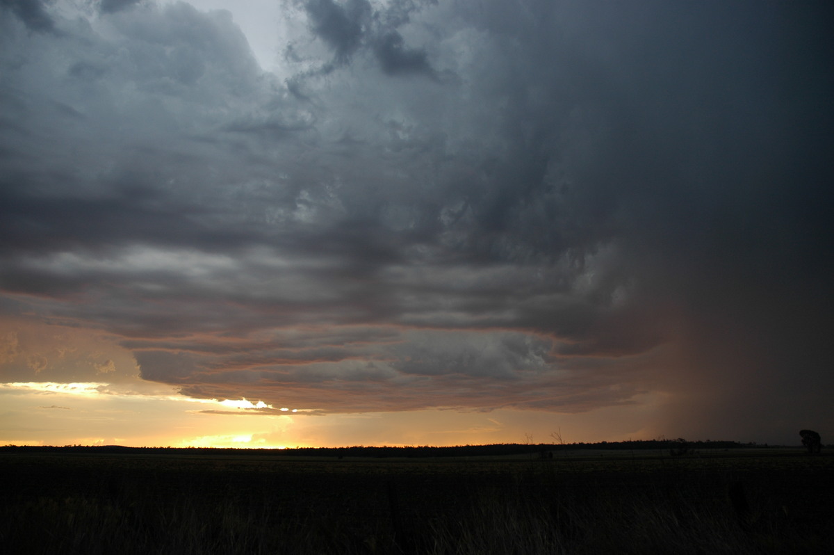 sunset sunset_pictures : near Milmerran, QLD   13 January 2007