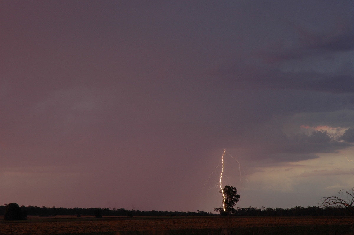 sunset sunset_pictures : near Milmerran, QLD   13 January 2007