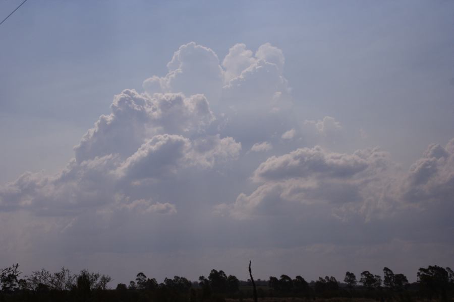 thunderstorm cumulonimbus_calvus : 40km W of Millmerran, NSW   14 January 2007