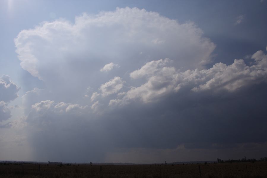 anvil thunderstorm_anvils : 40km W of Millmerran, NSW   14 January 2007