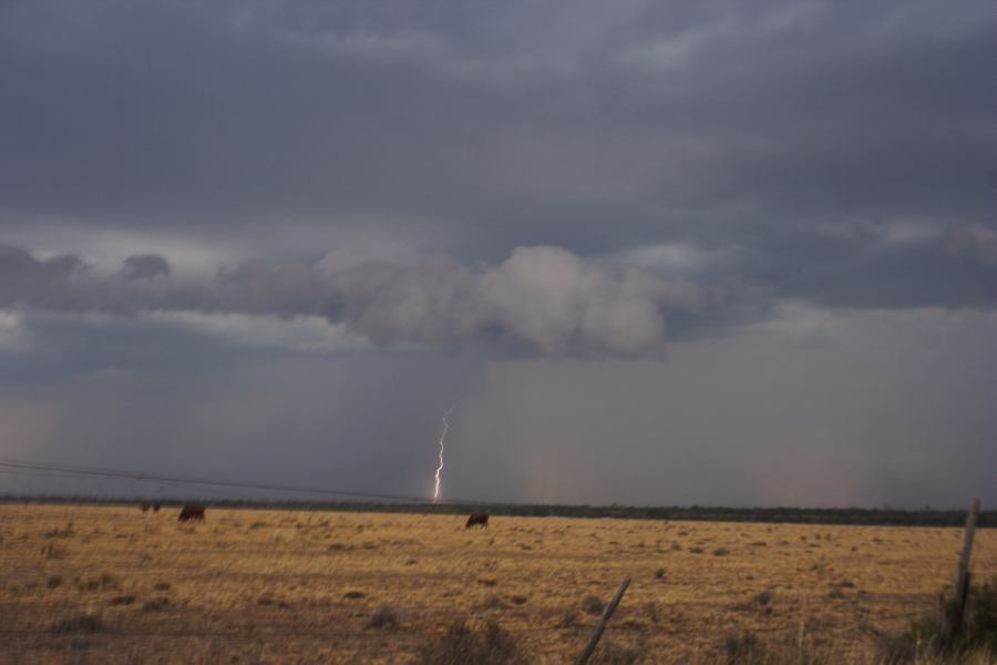 cumulonimbus thunderstorm_base : 40km N of Goondiwindi, NSW   14 January 2007