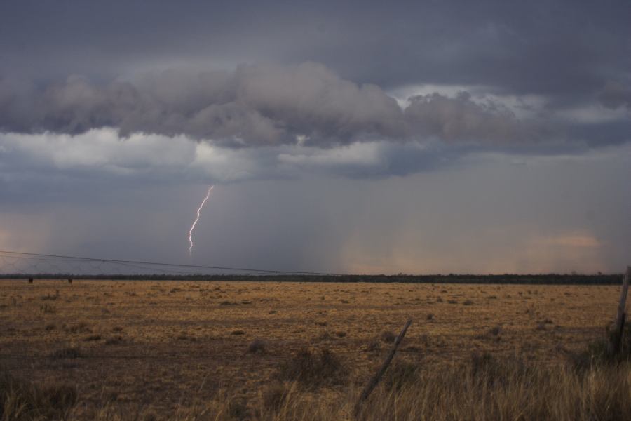 raincascade precipitation_cascade : 40km N of Goondiwindi, NSW   14 January 2007