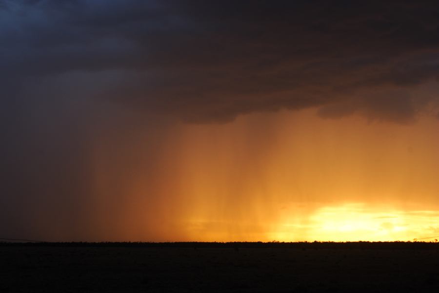 raincascade precipitation_cascade : 40km N of Goondiwindi, NSW   14 January 2007