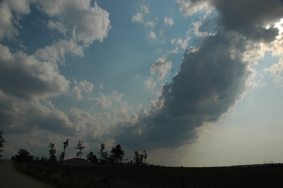 cumulus mediocris : SW of Milmerran, QLD   14 January 2007