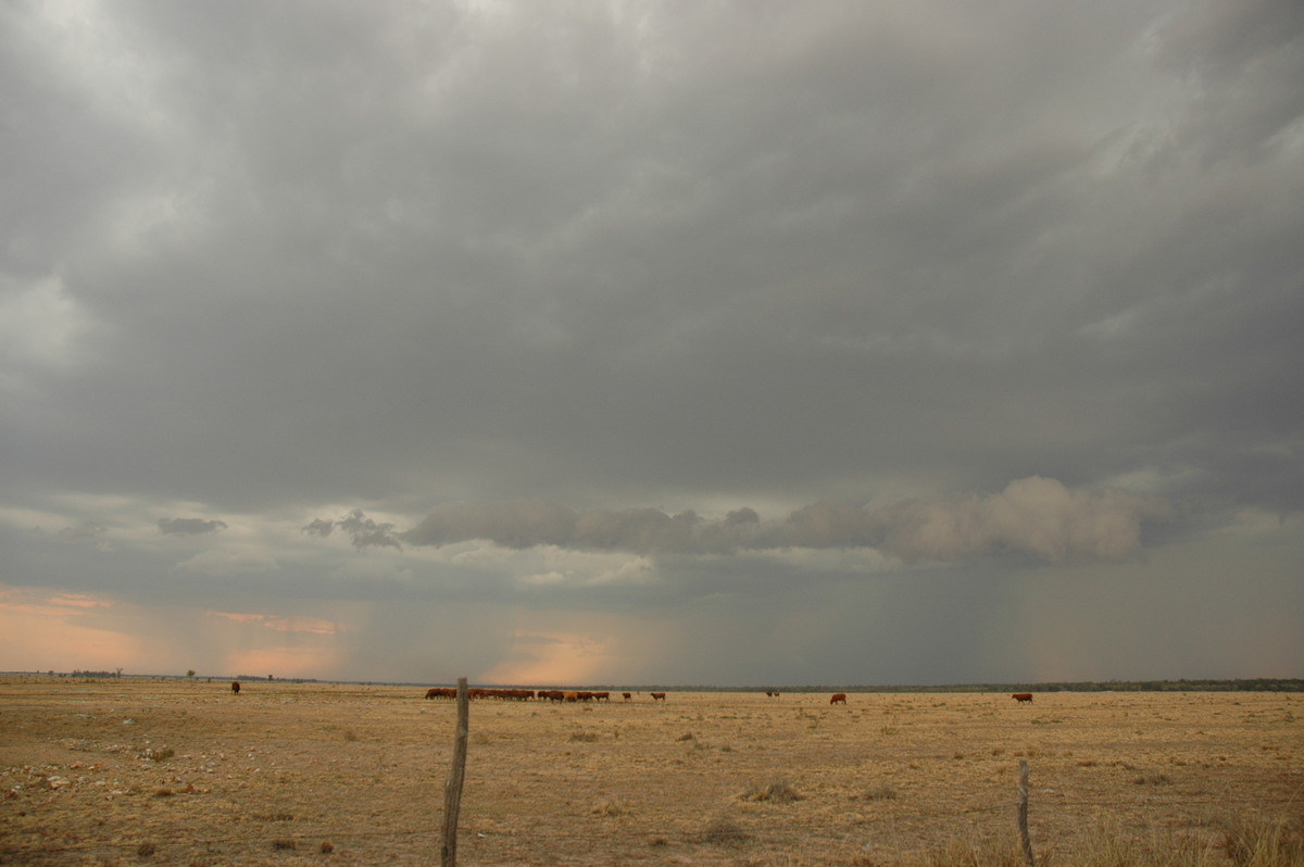 rollcloud roll_cloud : N of Goodiwindi, QLD   14 January 2007