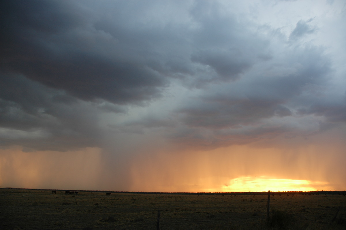 cumulonimbus thunderstorm_base : N of Goodiwindi, QLD   14 January 2007