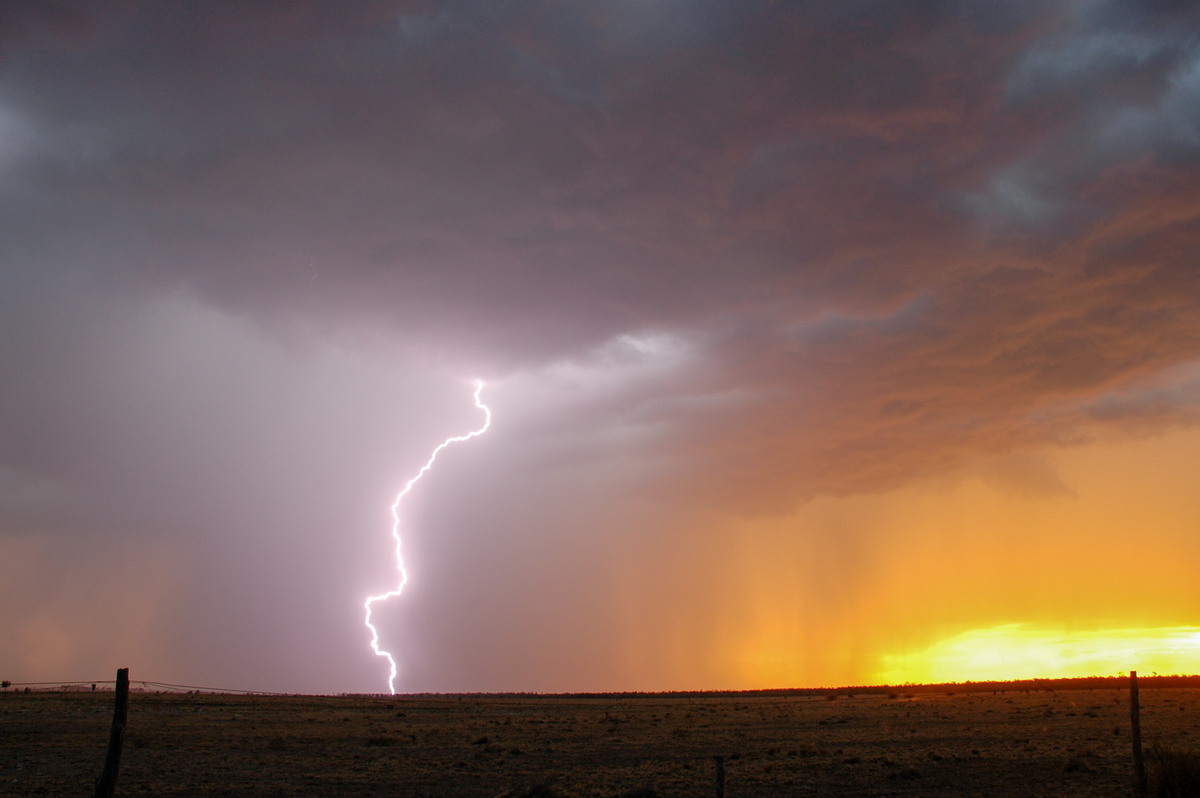 favourites michael_bath : N of Goodiwindi, QLD   14 January 2007