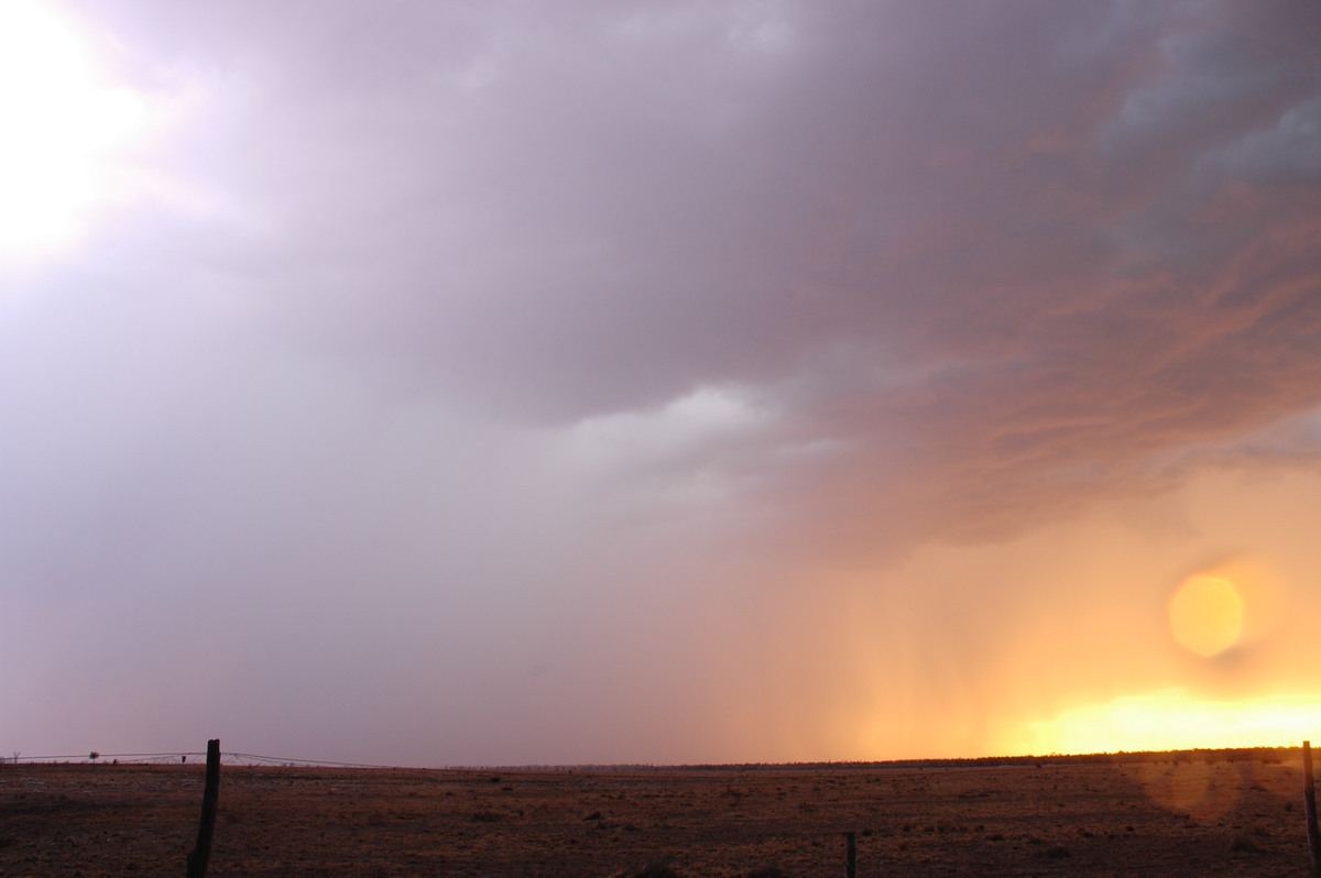 cumulonimbus thunderstorm_base : N of Goodiwindi, QLD   14 January 2007