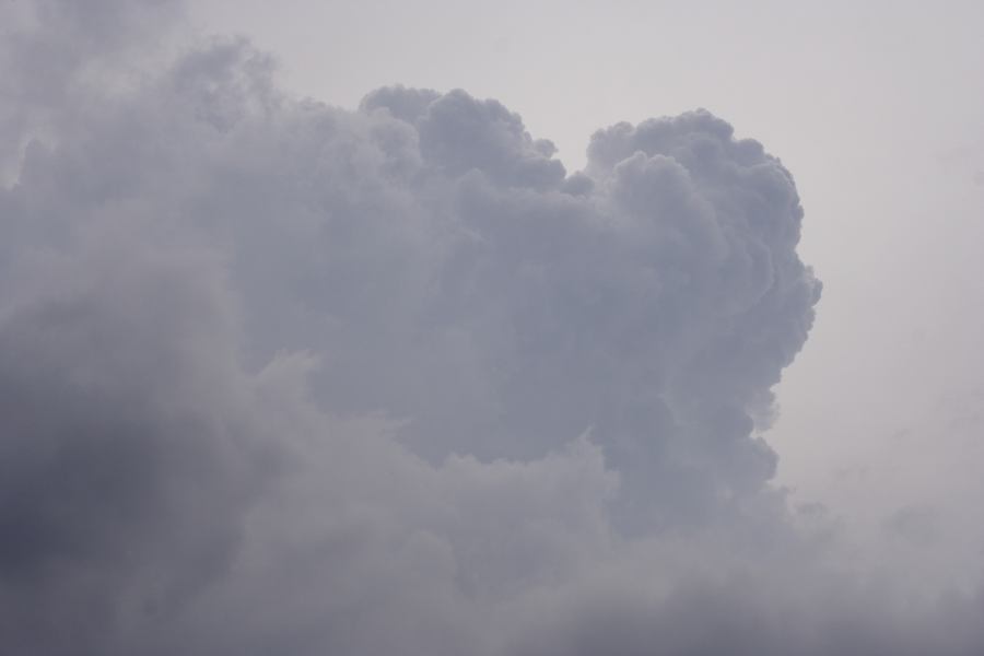 updraft thunderstorm_updrafts : Mt Victoria, NSW   18 January 2007