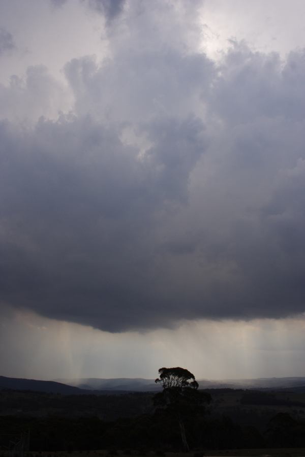 cumulonimbus thunderstorm_base : Mt Lambie, NSW   18 January 2007