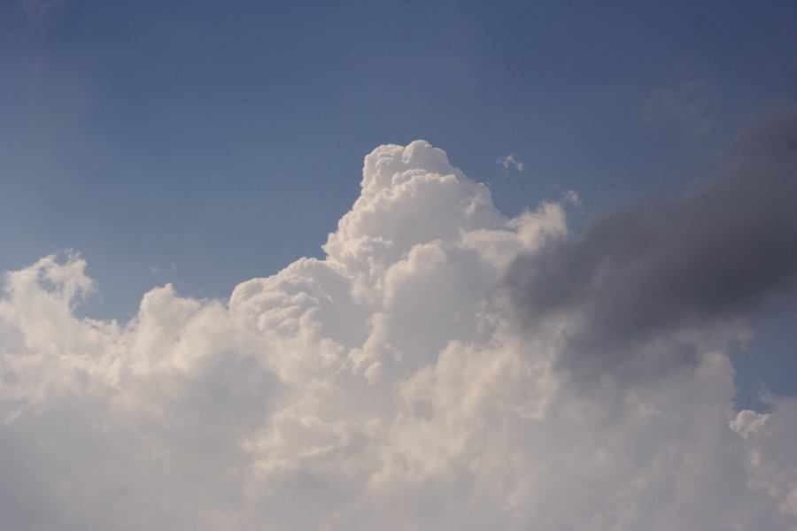 updraft thunderstorm_updrafts : Mt Lambie, NSW   18 January 2007