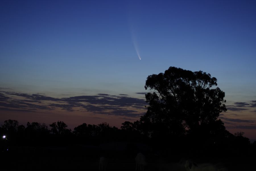 sunset sunset_pictures : Comet McNaught from Schofields   20 January 2007