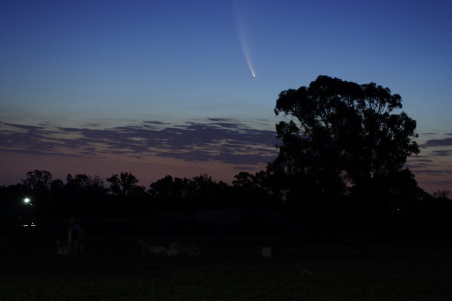 sunset sunset_pictures : Comet McNaught from Schofields   20 January 2007