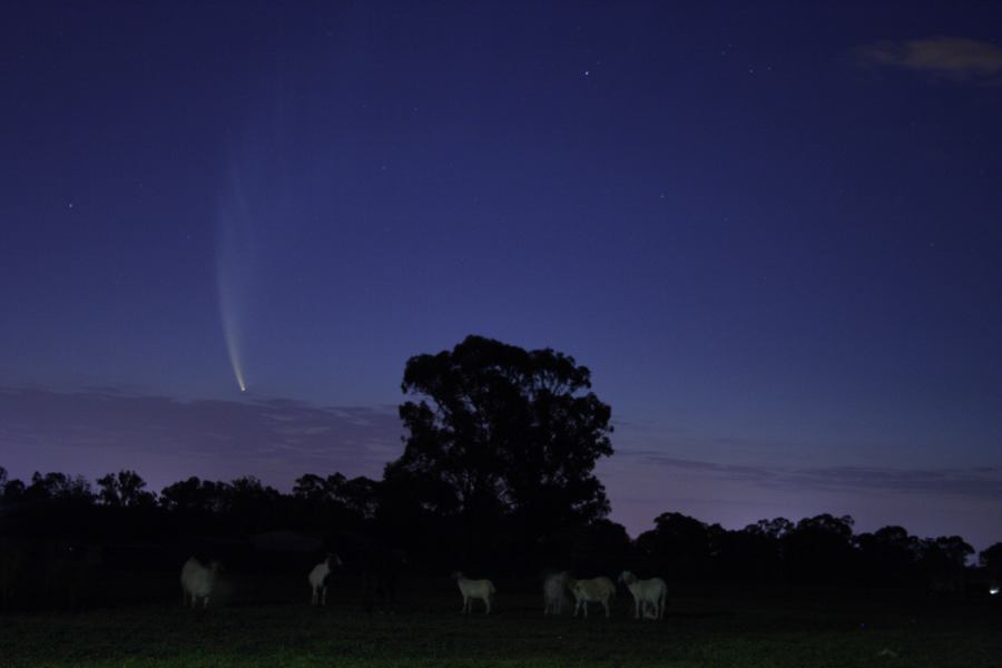 favourites jimmy_deguara : Comet McNaught, Schofields, NSW   20 January 2007