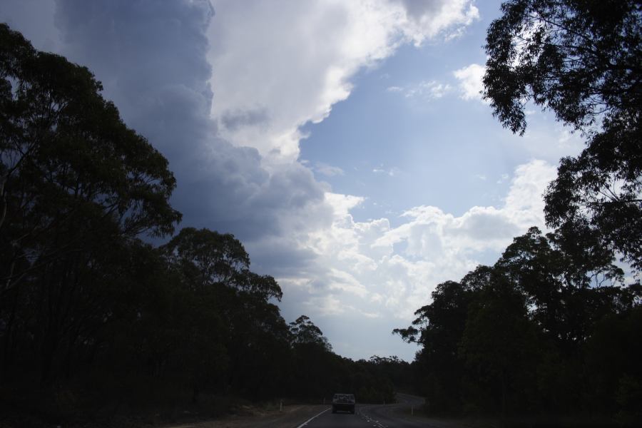 updraft thunderstorm_updrafts : N of Colo Heights, NSW   23 January 2007