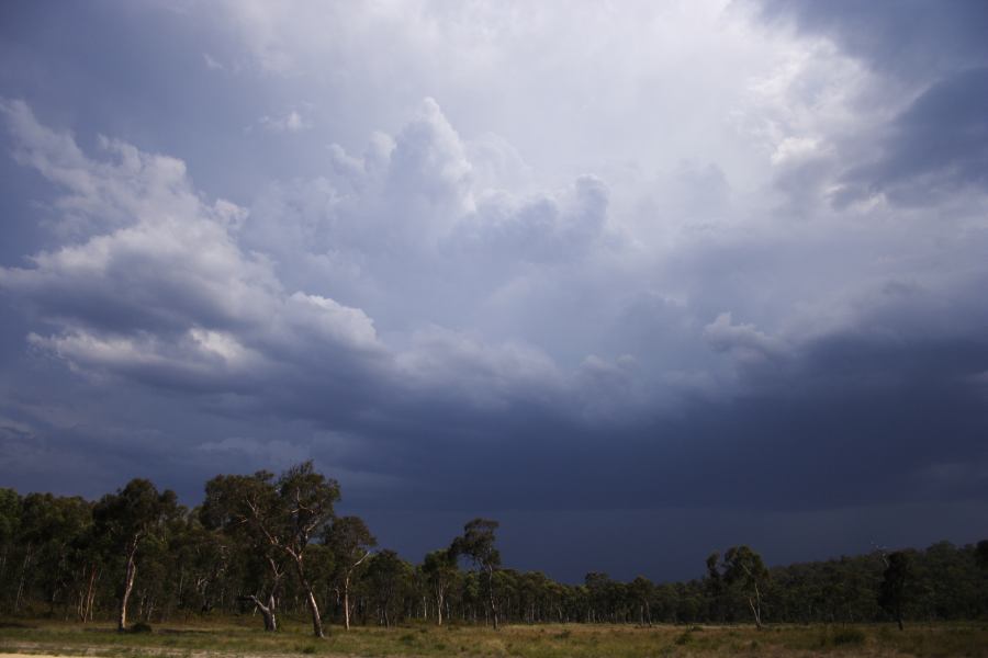 cumulonimbus thunderstorm_base : ~20km N of Colo Heights, NSW   23 January 2007