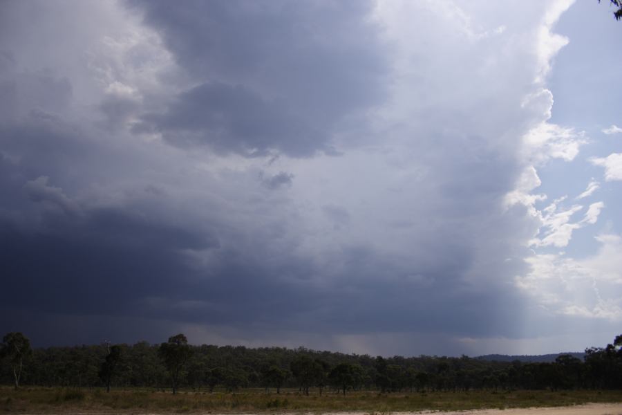 cumulonimbus thunderstorm_base : ~20km N of Colo Heights, NSW   23 January 2007