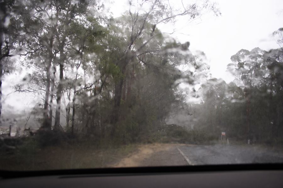 precipitation precipitation_rain : ~10km N of Colo Heights, NSW   23 January 2007