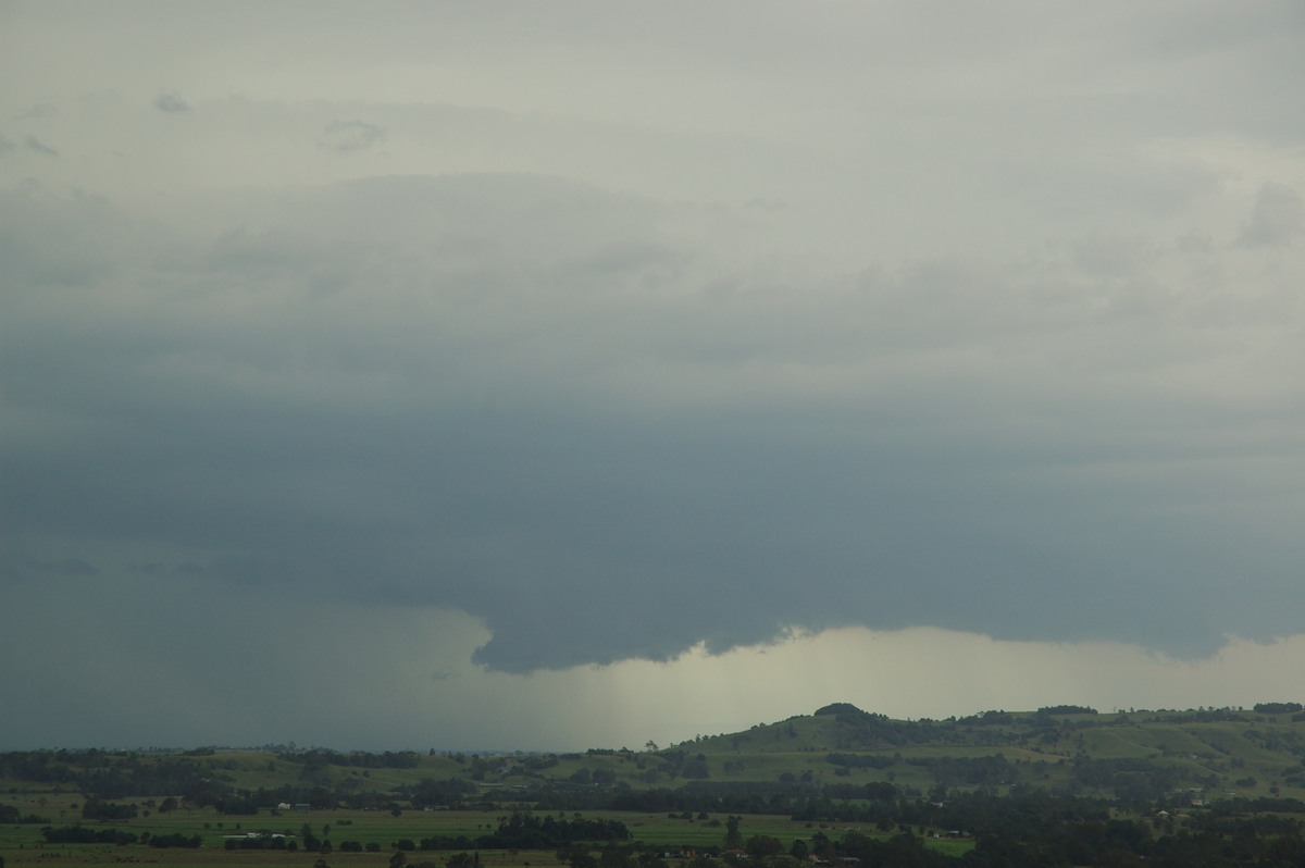 cumulonimbus thunderstorm_base : Wyrallah, NSW   24 January 2007