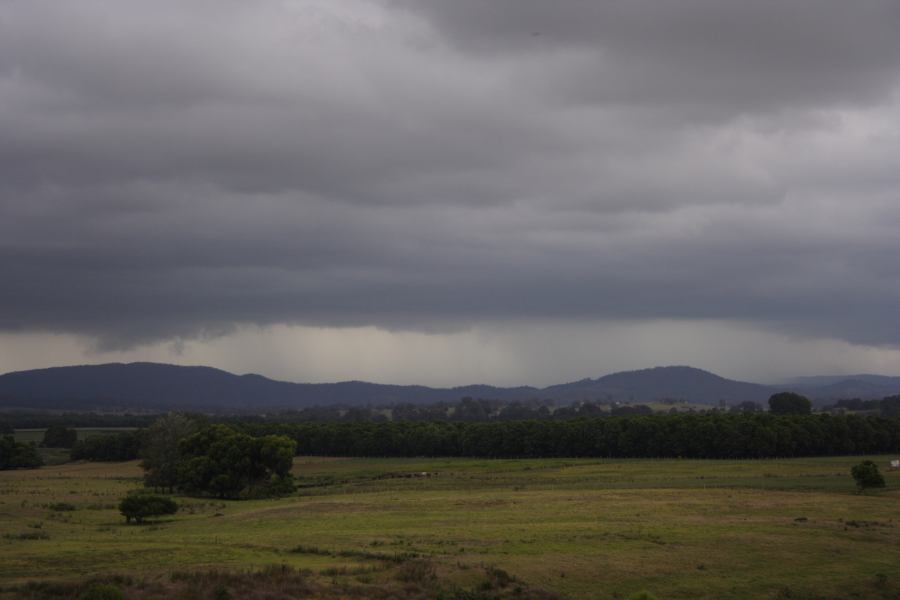 cumulonimbus thunderstorm_base : Kempsey, NSW   26 January 2007