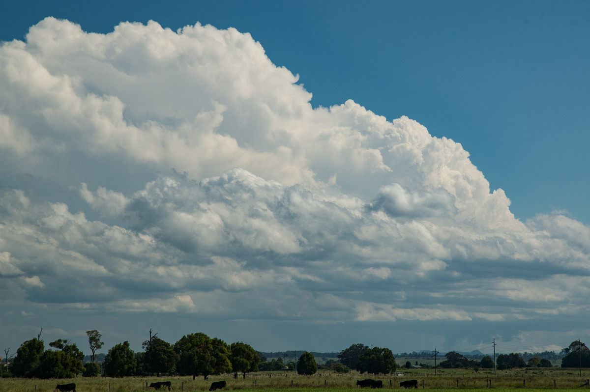 thunderstorm cumulonimbus_incus : near Grafton, NSW   26 January 2007