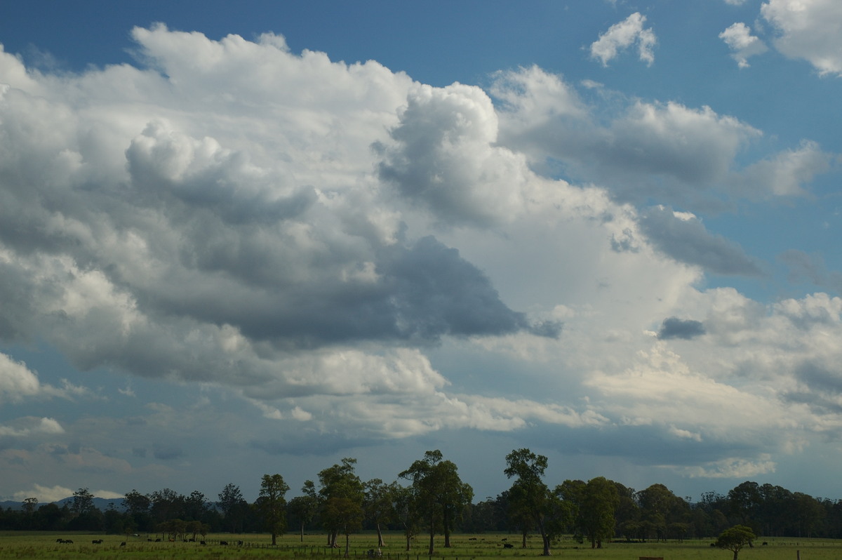 thunderstorm cumulonimbus_incus : near Grafton, NSW   26 January 2007