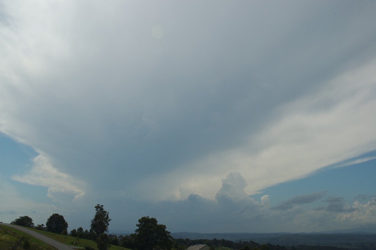 anvil thunderstorm_anvils : McLeans Ridges, NSW   30 January 2007