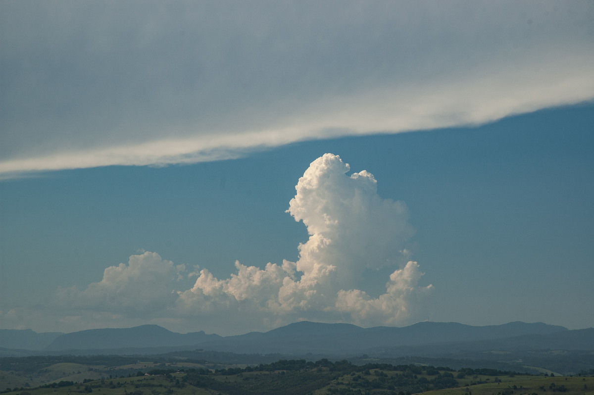 anvil thunderstorm_anvils : McLeans Ridges, NSW   31 January 2007