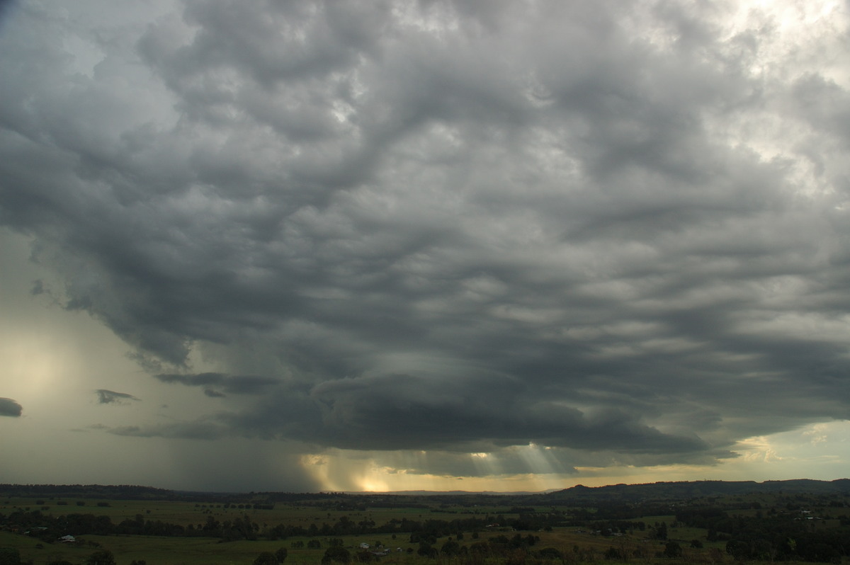 cumulonimbus thunderstorm_base : Wyrallah, NSW   31 January 2007