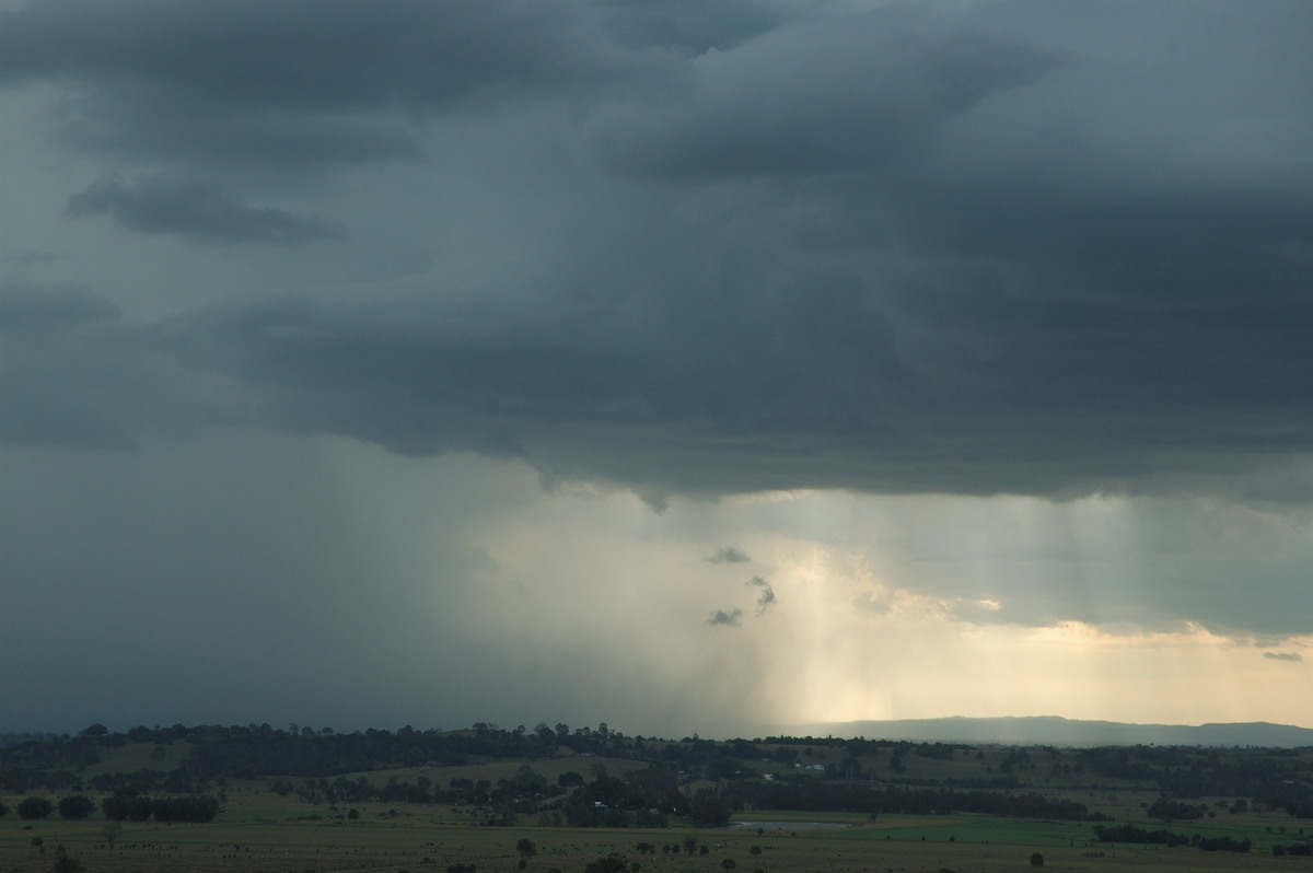 raincascade precipitation_cascade : Wyrallah, NSW   31 January 2007