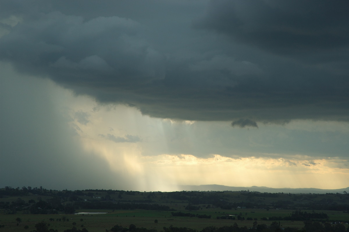 cumulonimbus thunderstorm_base : Wyrallah, NSW   31 January 2007