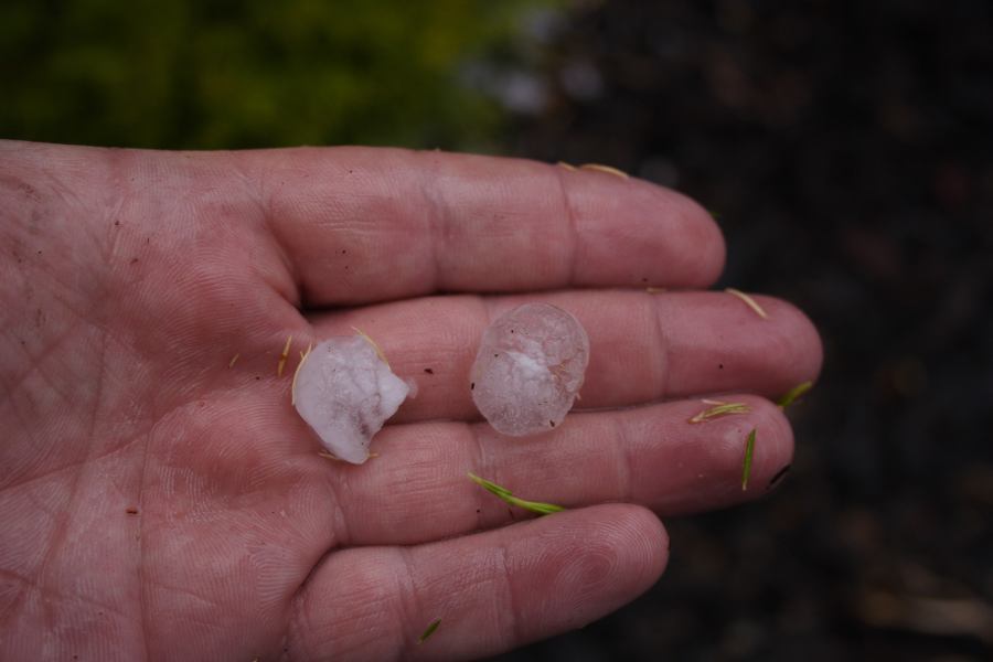 hailstones hail_stones : Lithgow, NSW   3 February 2007