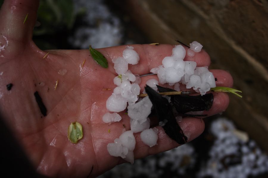 hailstones hail_stones : Lithgow, NSW   3 February 2007