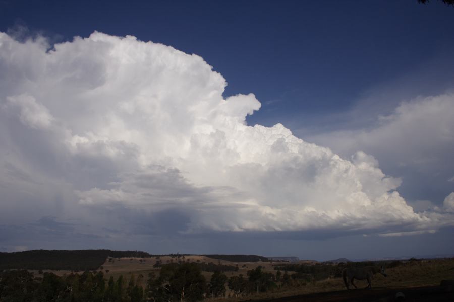 cumulonimbus thunderstorm_base : S of Cherry Tree Hill, NSW   3 February 2007