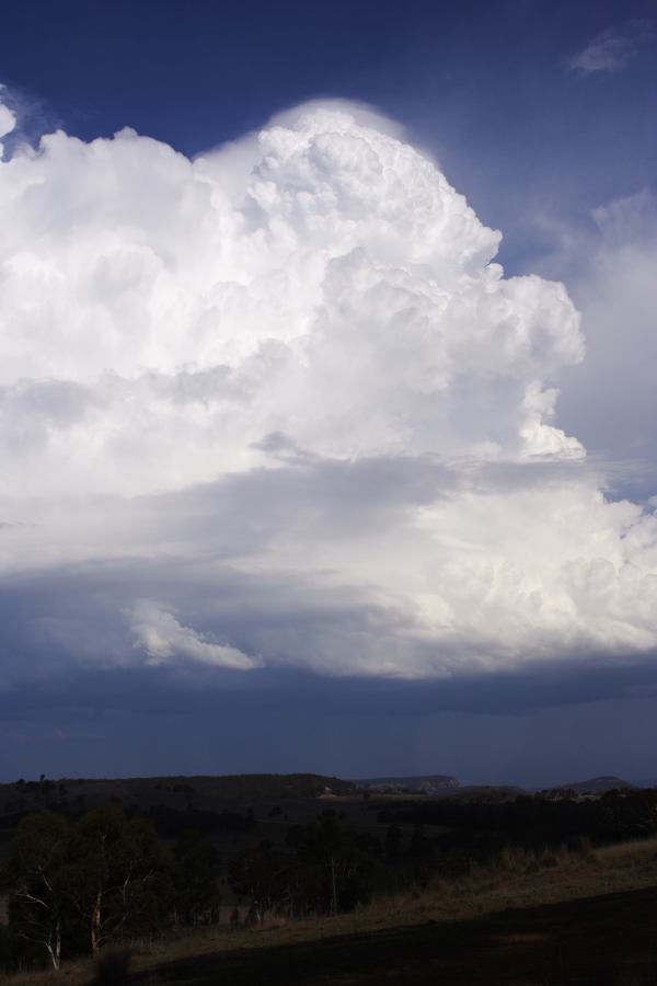 pileus pileus_cap_cloud : S of Cherry Tree Hill, NSW   3 February 2007