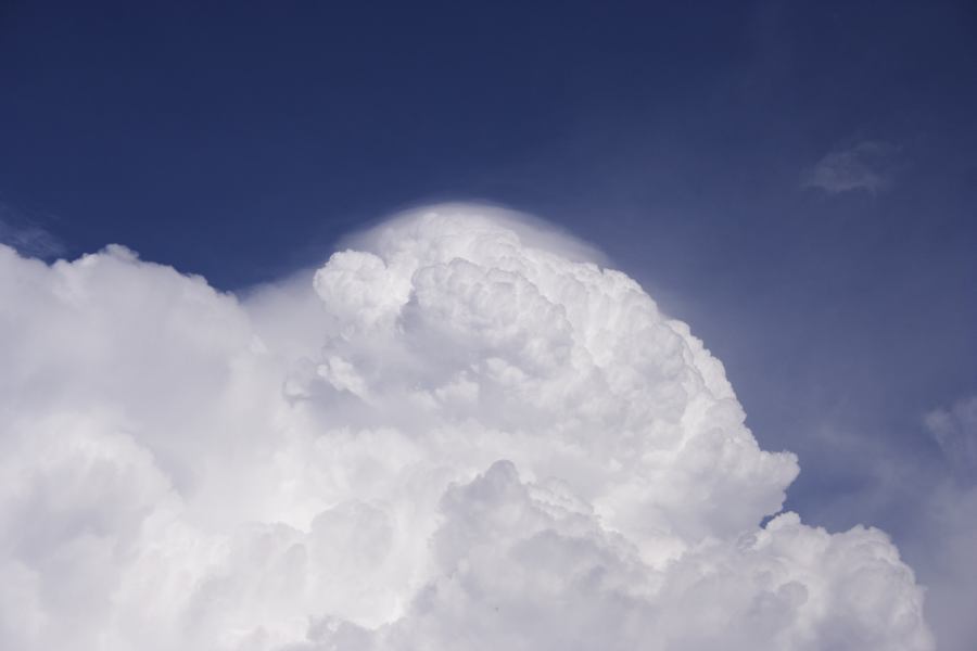 pileus pileus_cap_cloud : S of Cherry Tree Hill, NSW   3 February 2007