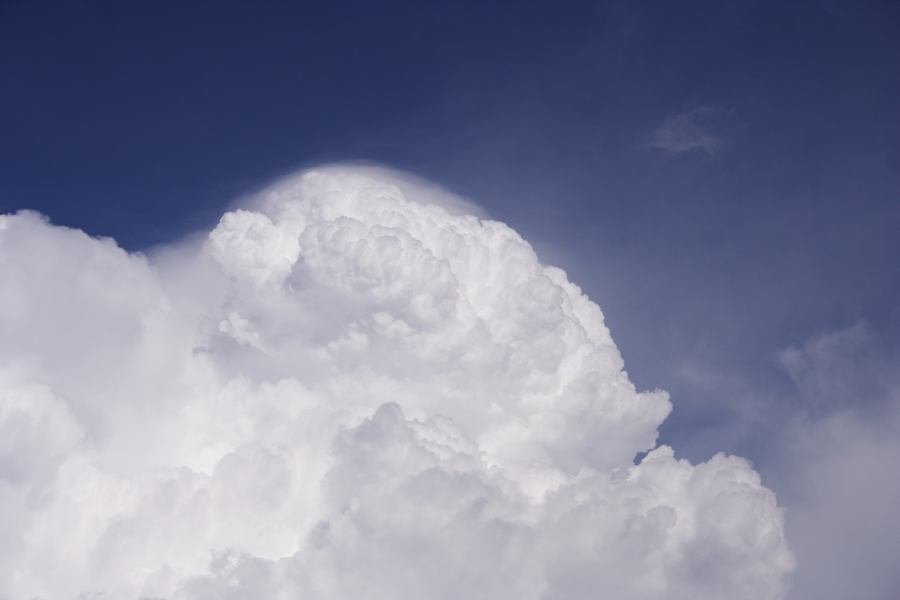 pileus pileus_cap_cloud : S of Cherry Tree Hill, NSW   3 February 2007