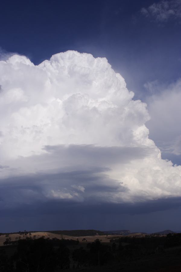 cumulonimbus thunderstorm_base : S of Cherry Tree Hill, NSW   3 February 2007