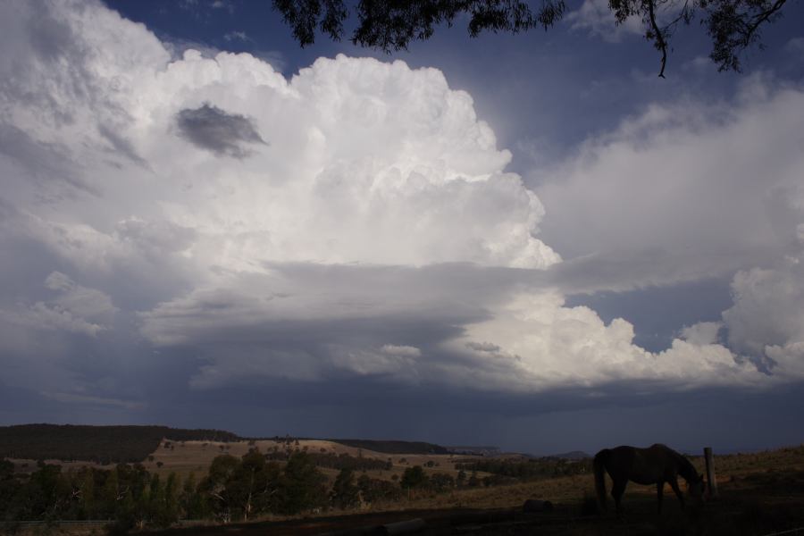 thunderstorm cumulonimbus_incus : S of Cherry Tree Hill, NSW   3 February 2007