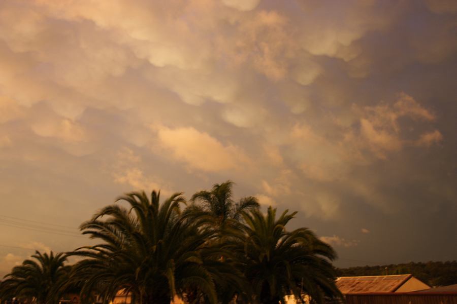 mammatus mammatus_cloud : Schofields, NSW   7 February 2007