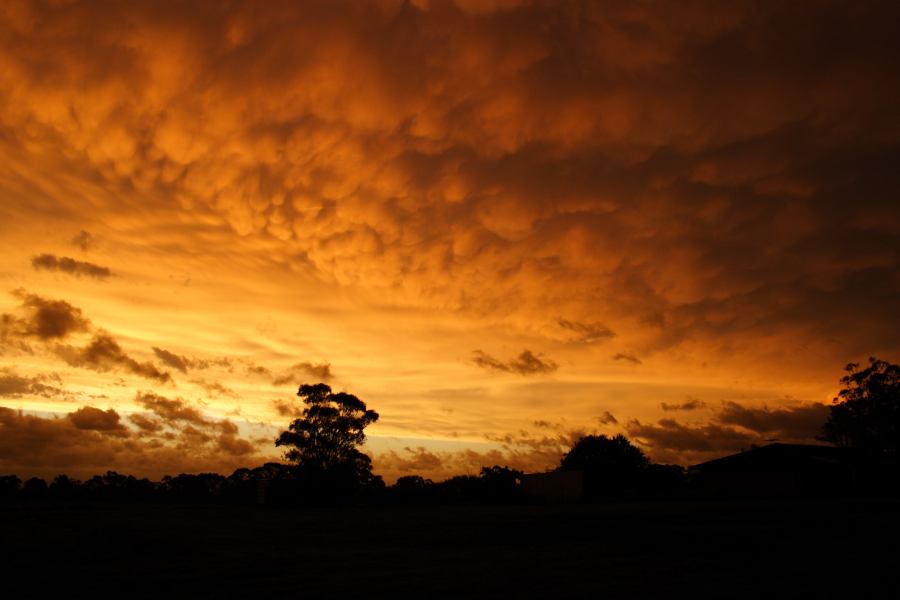 mammatus mammatus_cloud : Schofields, NSW   7 February 2007