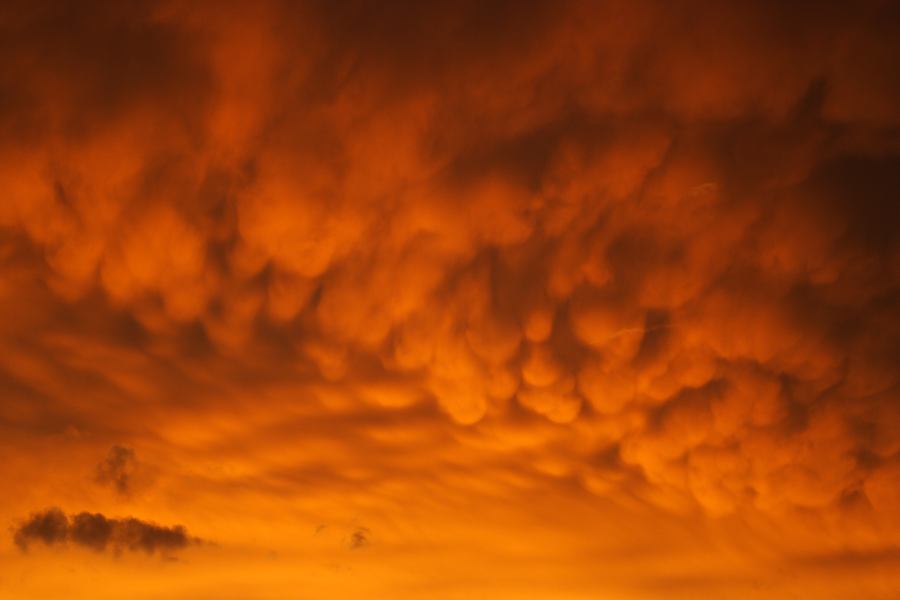 mammatus mammatus_cloud : Schofields, NSW   7 February 2007