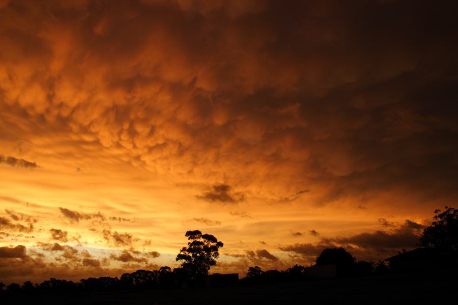 mammatus mammatus_cloud : Schofields, NSW   7 February 2007