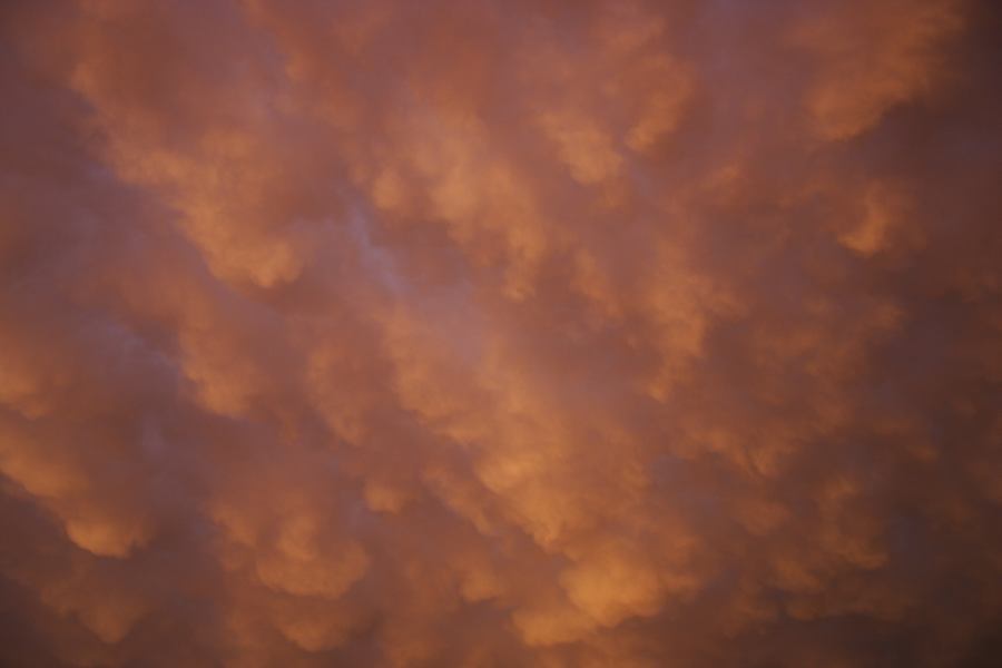 mammatus mammatus_cloud : Schofields, NSW   7 February 2007